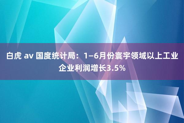 白虎 av 国度统计局：1—6月份寰宇领域以上工业企业利润增长3.5%