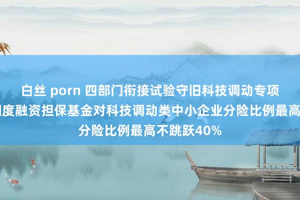 白丝 porn 四部门衔接试验守旧科技调动专项担保缱绻 国度融资担保基金对科技调动类中小企业分险比例最高不跳跃40%