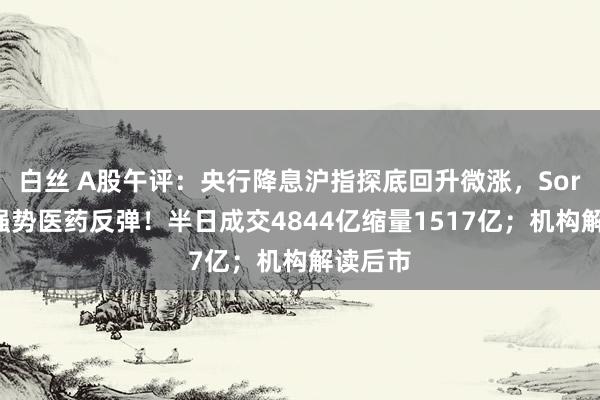 白丝 A股午评：央行降息沪指探底回升微涨，Sora延续强势医药反弹！半日成交4844亿缩量1517亿；机构解读后市